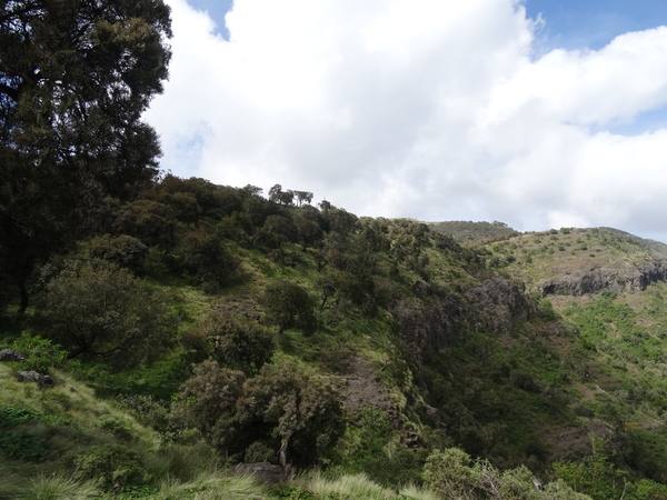 4C Simien mountains NP _DSC00387