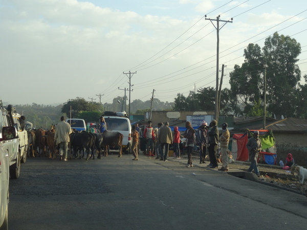 7C Addis Abeba -- Awassa  _DSC00916