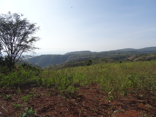 9B Konso gebied, New York canyon _DSC00995