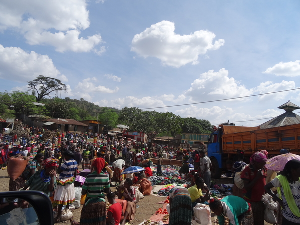 D8 Kay Afer--Arba Minch _DSC01402