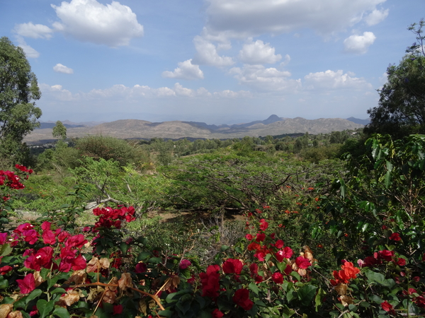 D8 Kay Afer--Arba Minch _DSC01404