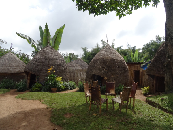 E3 Chencha, Dorze stam _DSC01457