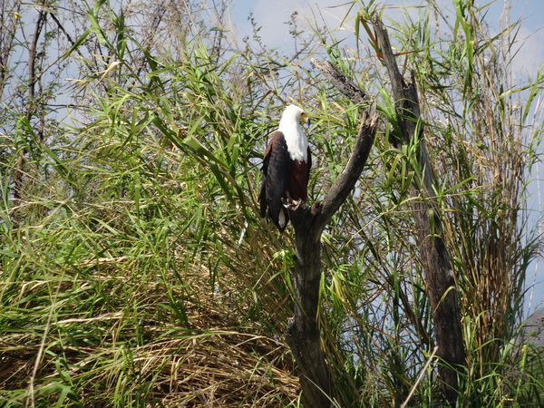 E7 Chamo meer, boottocht _DSC01519