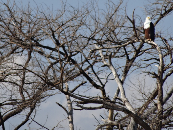 E7 Chamo meer, boottocht _DSC01555