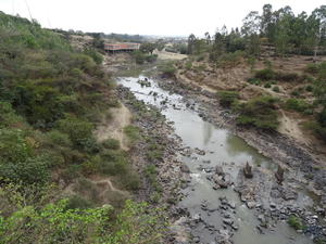 F2 Arba Minch--Addis _DSC01579