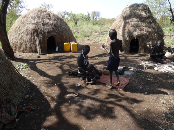 C2 Mago NP, Mursi stam  _DSC01288