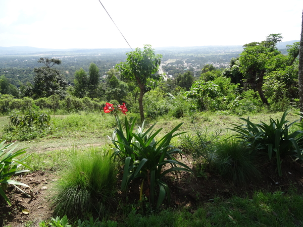 C5 Jinka, museum _DSC01321