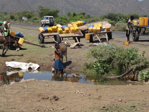 D8 Kay Afer--Arba Minch _DSC01385