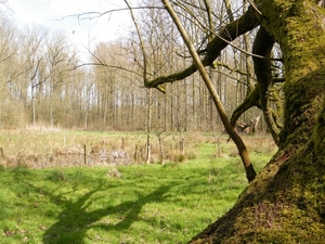 2018_04_03 Wellemeersen 21