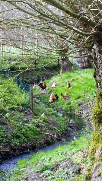 Faubourgtocht De Kadees