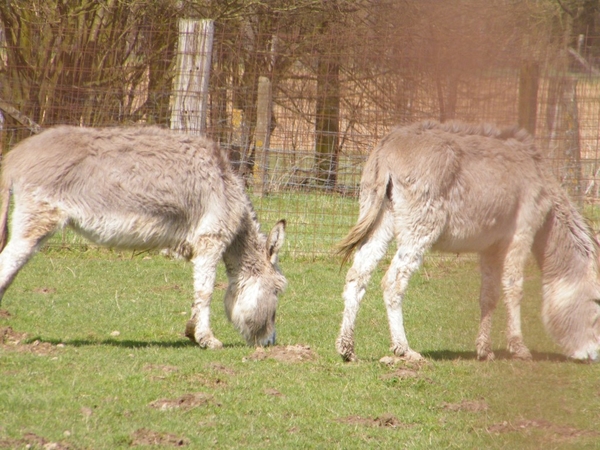 Bursitiatocht Land van Rhode