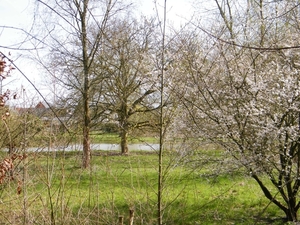 2018_04_08 Natuurpunt Molenbeeekmeersen 05