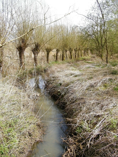 Natuurpunt Denderleeuw