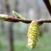 2018_04_08 Natuurpunt Molenbeeekmeersen 11