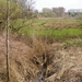 2018_04_08 Natuurpunt Molenbeeekmeersen 18