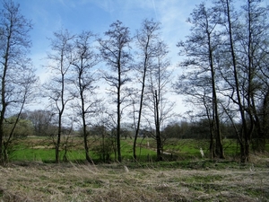 2018_04_08 Natuurpunt Molenbeeekmeersen 19