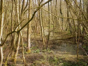 2018_04_08 Natuurpunt Molenbeeekmeersen 24