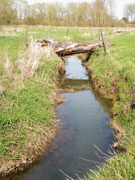 Natuurpunt Denderleeuw