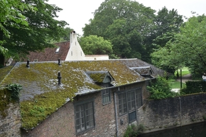 DSC_1097