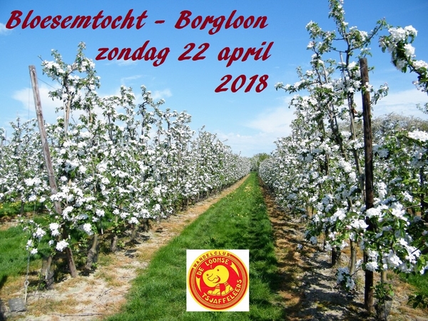 bloesemtocht Borgloon