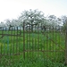 2018_04_22 Borgloon 18