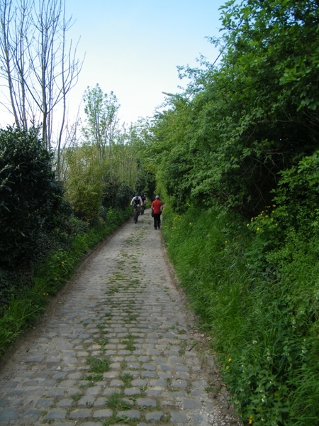 bloesemtocht Borgloon