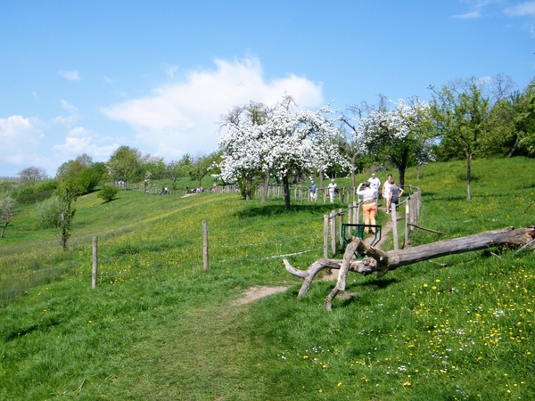 bloesemtocht Borgloon