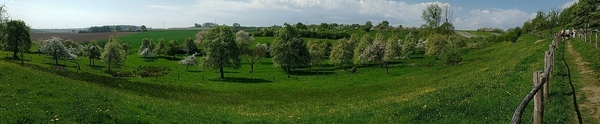 bloesemtocht Borgloon