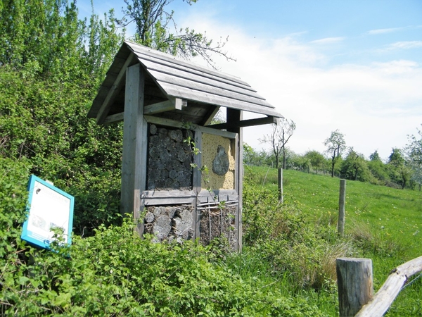 bloesemtocht Borgloon