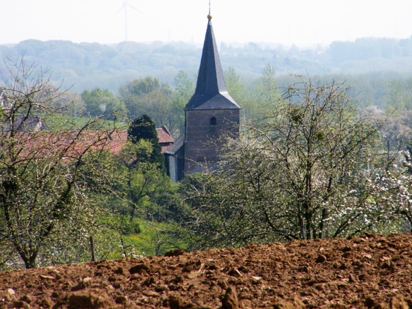 bloesemtocht Borgloon