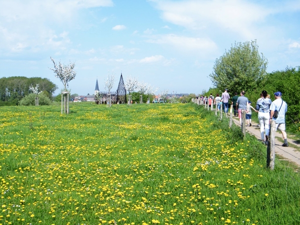 bloesemtocht Borgloon