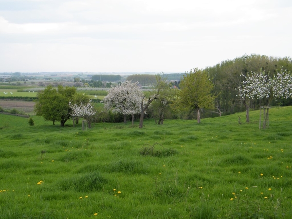 bloesemtocht Borgloon