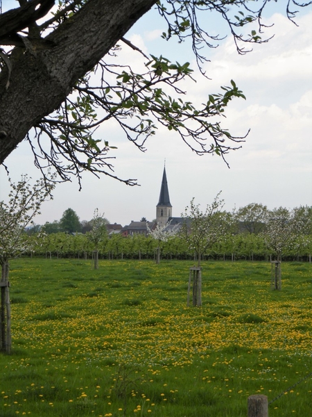 bloesemtocht Borgloon