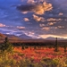 Denali_National_Park_Beautiful_Landscape_HD_Wallpaper_05_1920x120