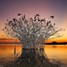 National-Geographic-Wallpaper-Of-The-Day-6