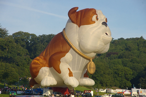 Bristol_Balloon_Fiesta_2009_MMB_28_G-CDOG 456