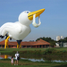 2008_1_stork_b