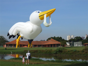 2008_1_stork_b