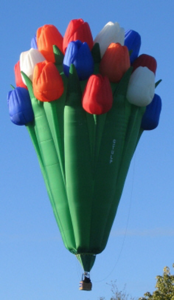 special_shape_hot_air_balloon_bouquet_of_tulips_for_sale