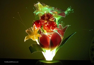 0                                                 light_flowers o