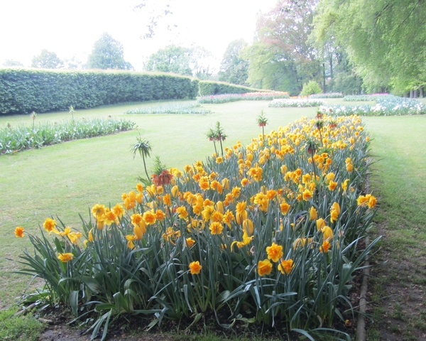 Lapperre en Kasteel Groot Bijgaarden 3-05-2018 (48)