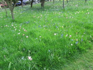 Lapperre en Kasteel Groot Bijgaarden 3-05-2018 (49)