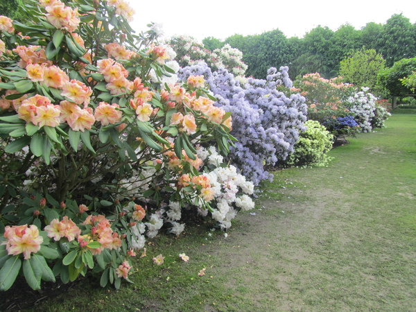 Lapperre en Kasteel Groot Bijgaarden 3-05-2018 (50)