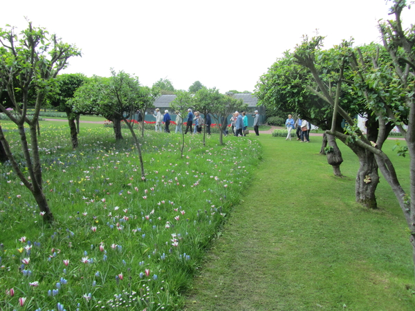 Lapperre en Kasteel Groot Bijgaarden 3-05-2018 (51)