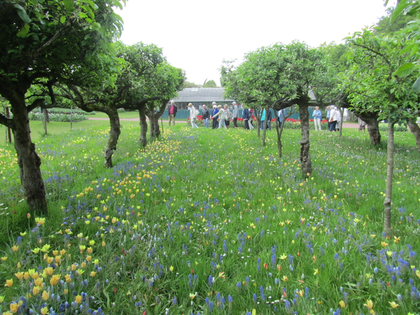 Lapperre en Kasteel Groot Bijgaarden 3-05-2018 (52)