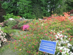 Lapperre en Kasteel Groot Bijgaarden 3-05-2018 (53)