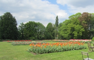 Lapperre en Kasteel Groot Bijgaarden 3-05-2018 (90)