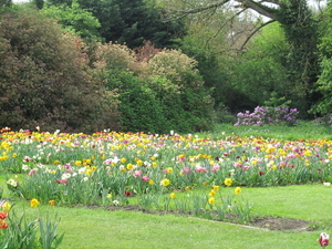 Lapperre en Kasteel Groot Bijgaarden 3-05-2018 (94)