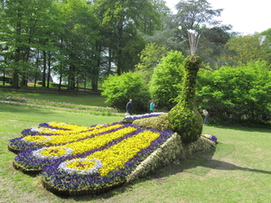 Lapperre en Kasteel Groot Bijgaarden 3-05-2018 (99)