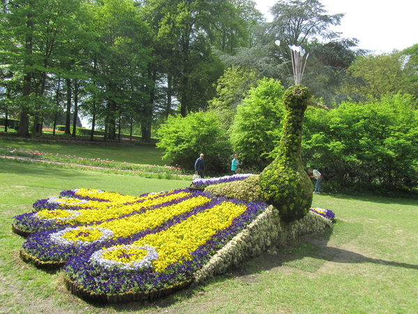 Lapperre en Kasteel Groot Bijgaarden 3-05-2018 (99)